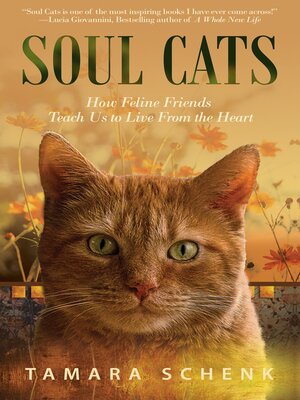 cover image of Soul Cats